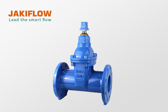 F5 Non-Rising Stem Resilient Seated Gate Valve 24715