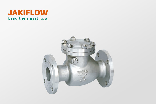 Stainless steel Flange Swing Check Valve 573D