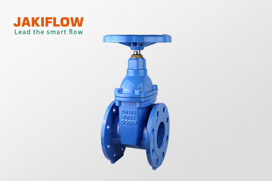 F4 Non-Rising Stem Resilient Seated Gate Valve 24714